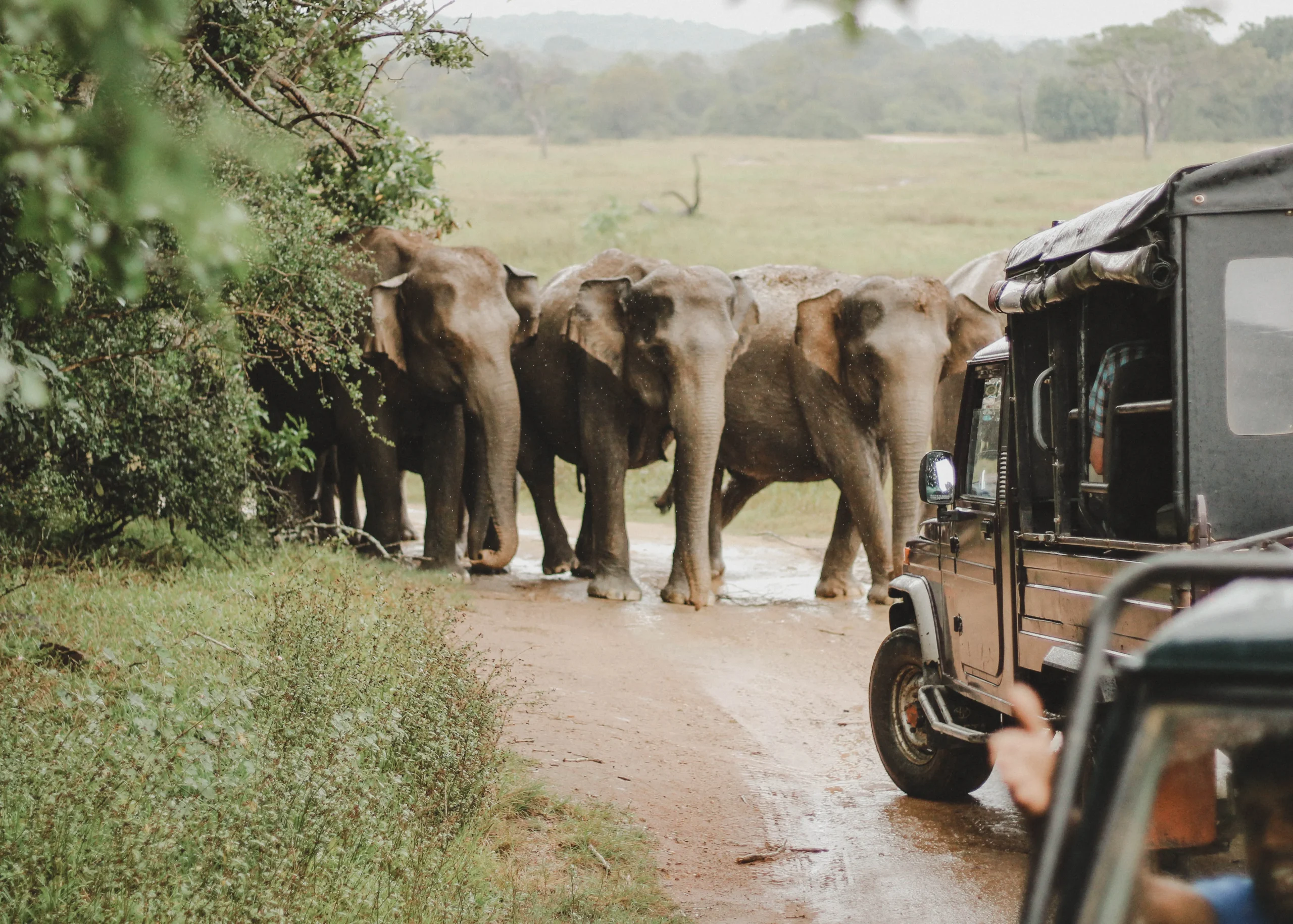 Kaudulla Adventure